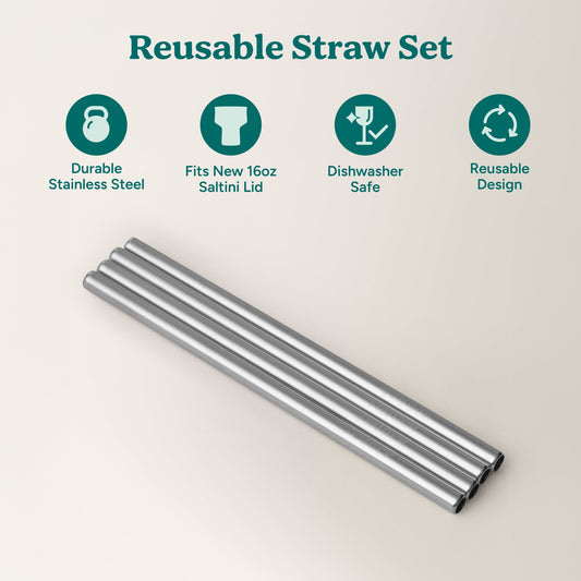 saltini-straw-set-h9 4PK_SaltiniStraws_SS-2.jpg