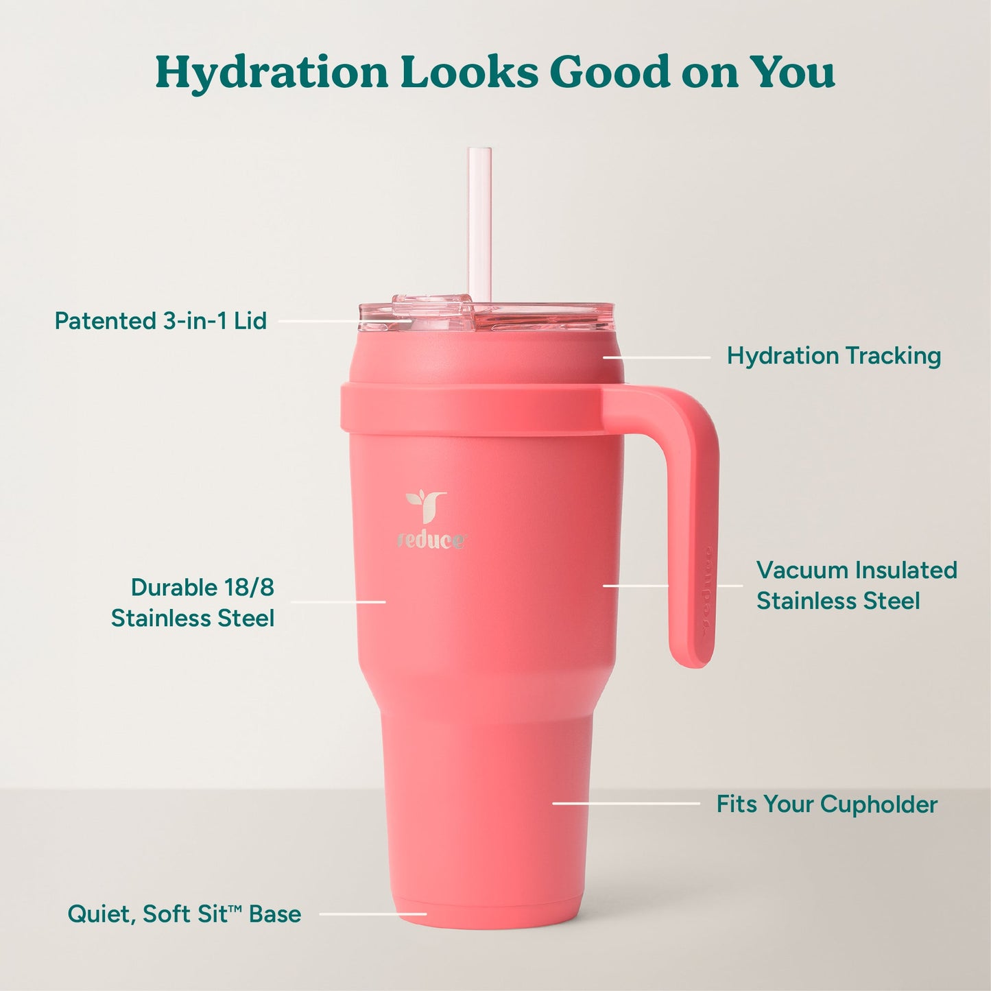 cold1-40-oz-c1 Cold1_40oz_Daiquiri_Infographic_2.jpg