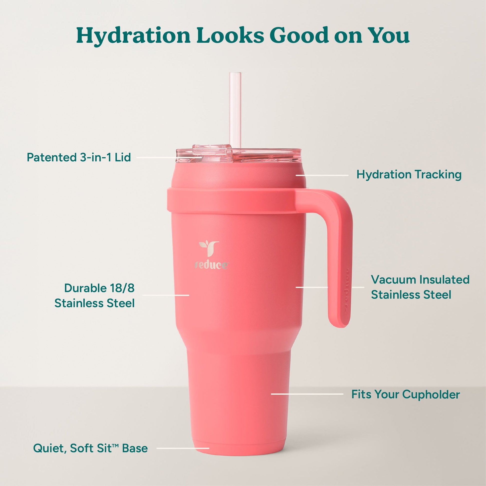 cold1-40-oz-c1 Cold1_40oz_Daiquiri_Infographic_2.jpg