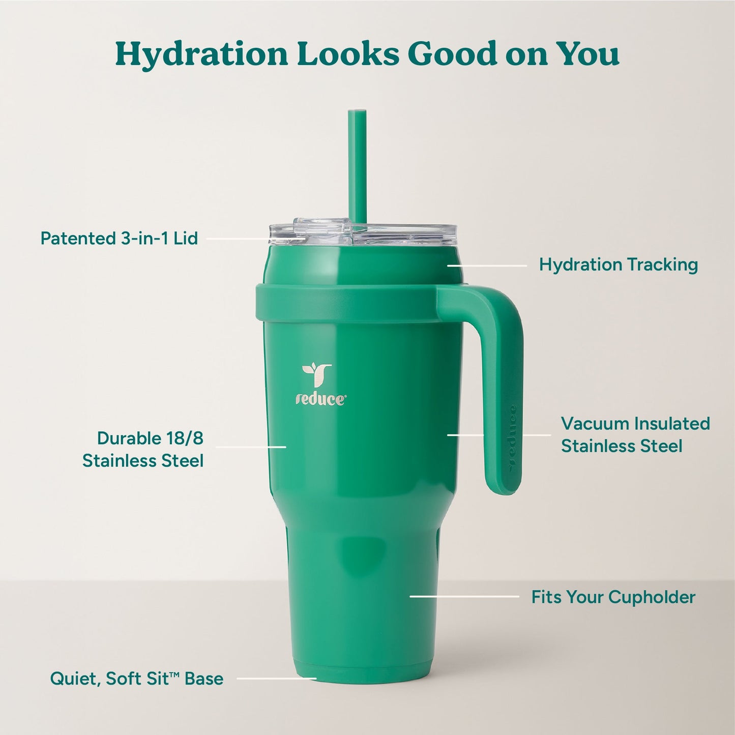 cold1-40-oz-c1 Cold1_40oz_PalmLeaf_Infographic_2.jpg