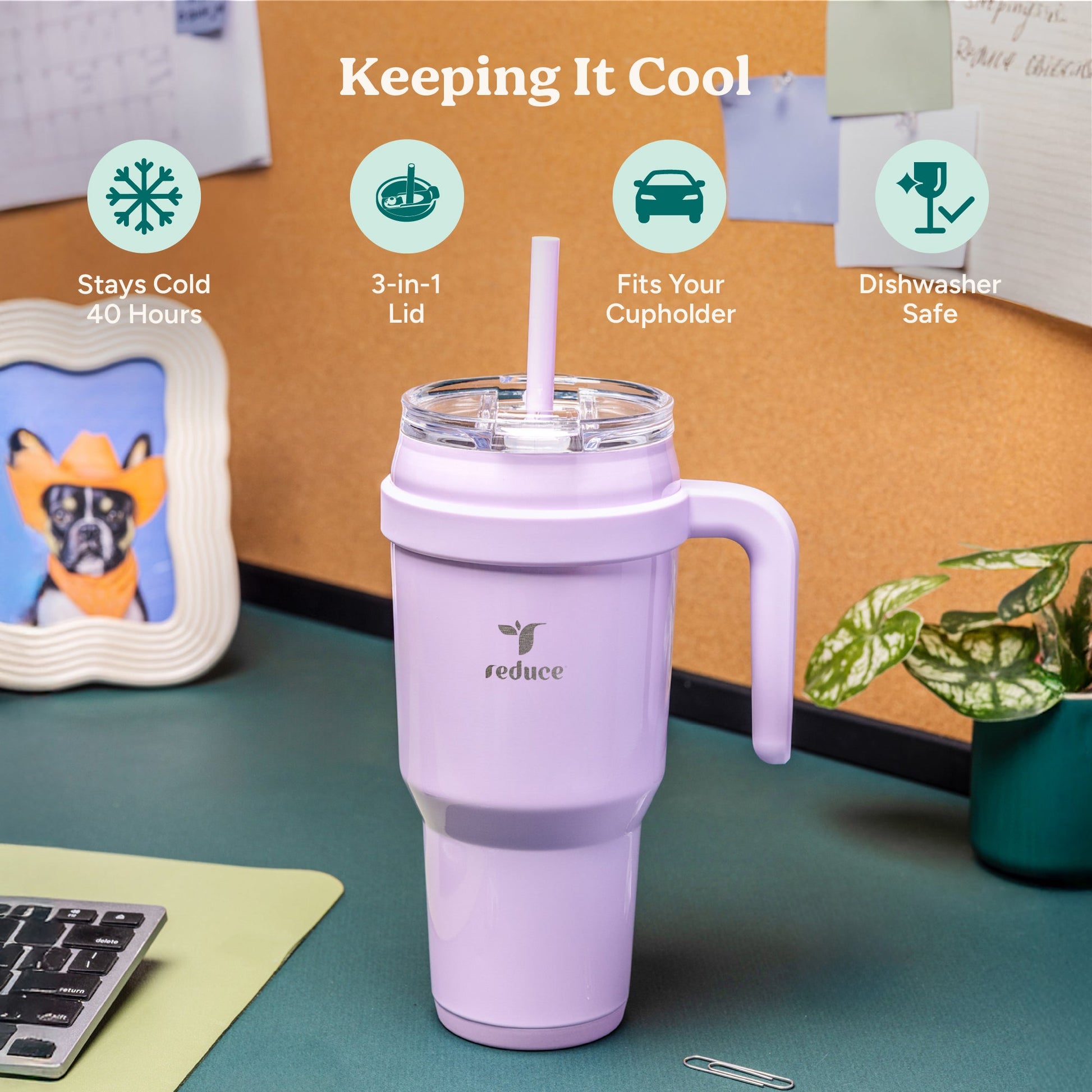 cold1-40-oz-c1 Cold1_40oz_PinaColada_Infographic_1.jpg