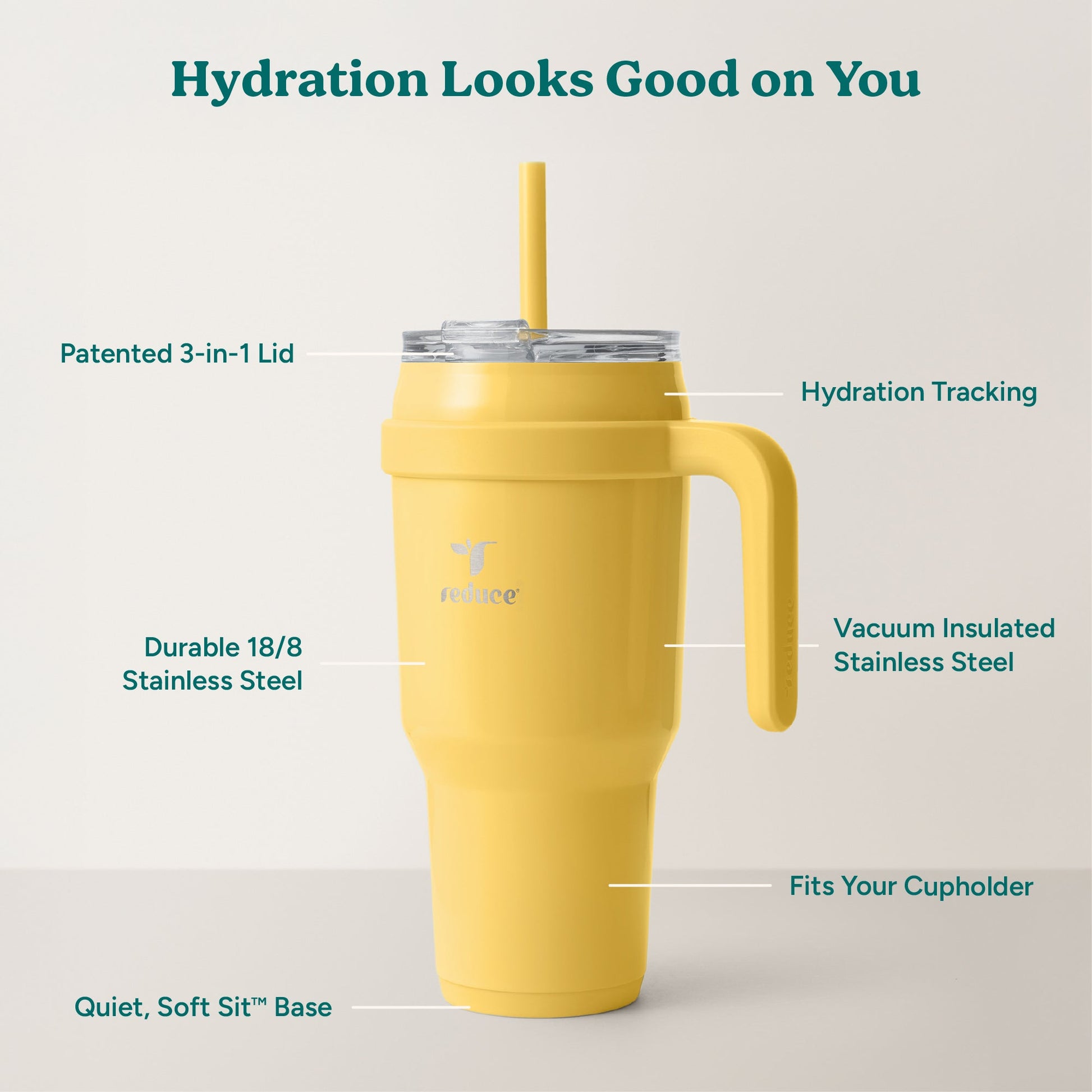 cold1-40-oz-c1 Cold1_40oz_Pineapple_Infographic_2.jpg