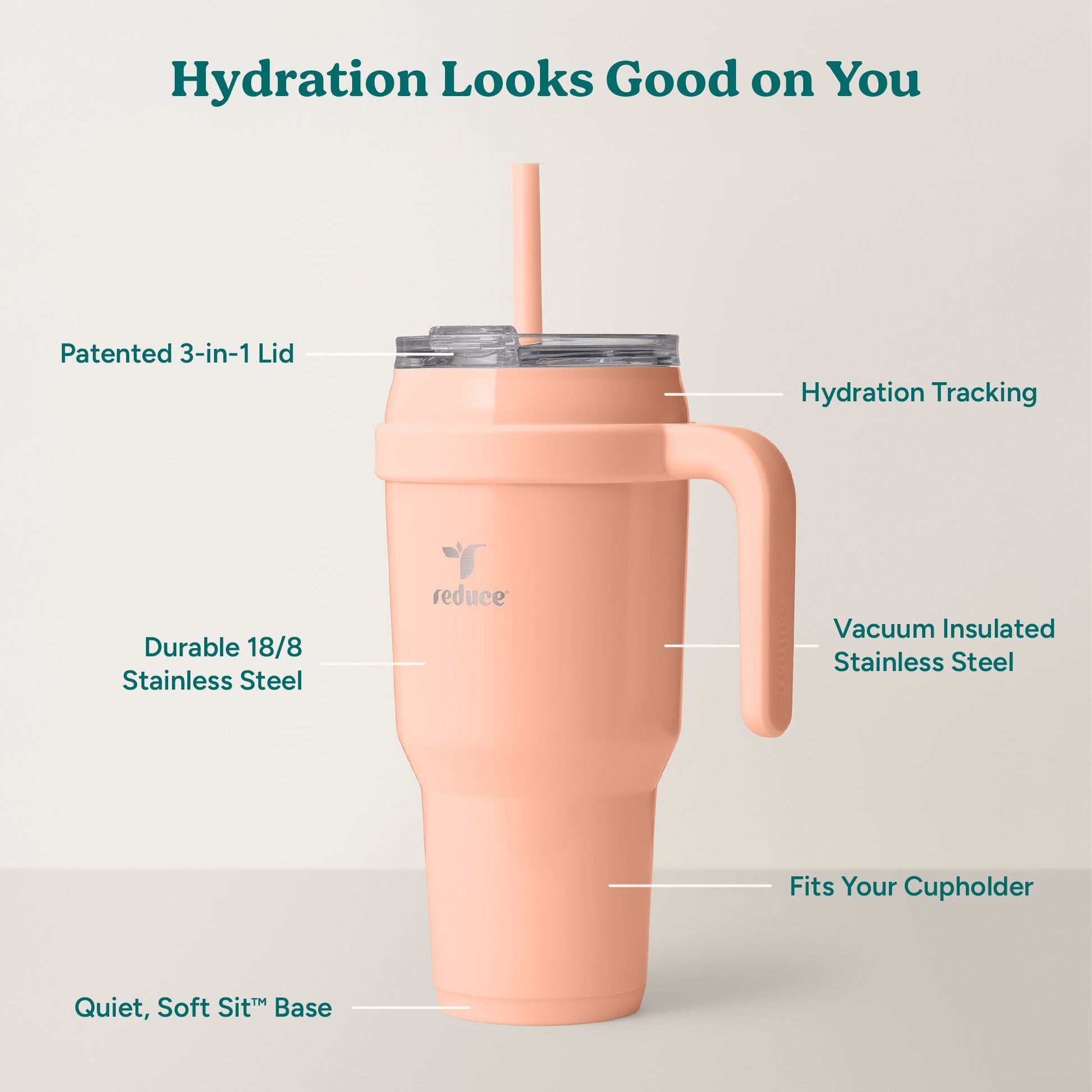 cold1-40-oz-c1 Cold1_40oz_Sedona_Infographic_2.jpg